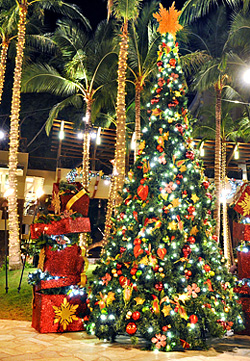 クリスマスツリーの点灯式イベント