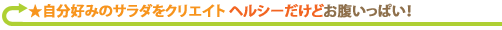 自分好みのサラダをクリエイト ヘルシーだけどお腹いっぱい!