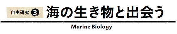 Title_MarineBiology.jpg