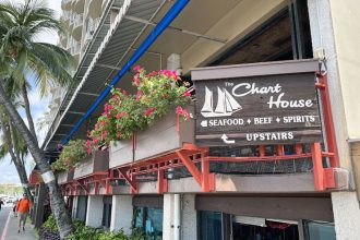 🍳🌴 絶景×生演奏で楽しむ、贅沢サンデーブランチが復活！ 🎶✨