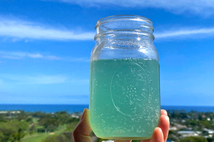 MIZUSHIMA BLUE ジンジャービア アロハ リリコイ