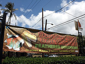 ハワイが丸ごとわかる博物館に恐竜が！