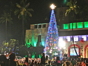 市庁舎前のクリスマス・ツリーも点灯！