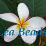 ハワイでアクセサリーを制作中♪Lea Beads