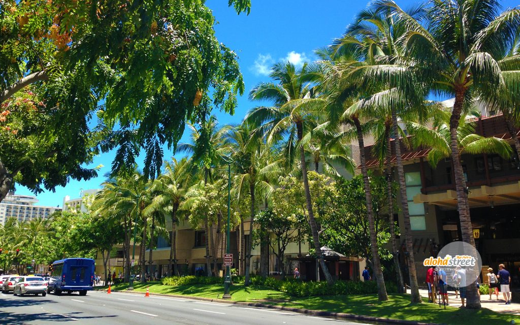 カラカウア通りの青 緑の美しさにクラクラ アロハストリート ハワイ