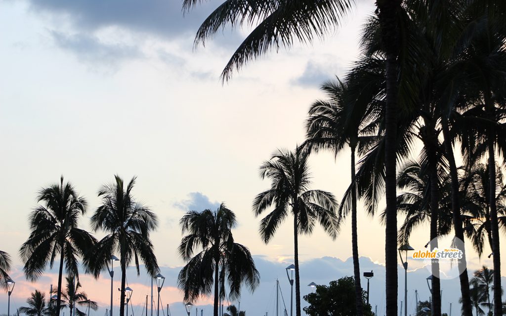 パームツリーと夕暮れ色のコラボビューにうっとり