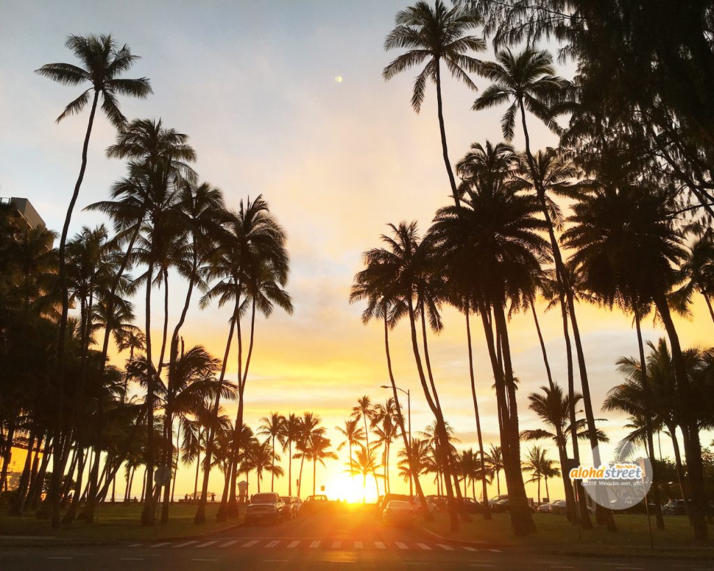 夕日に浮かぶパームツリーのシルエットにため息 アロハストリート ハワイ