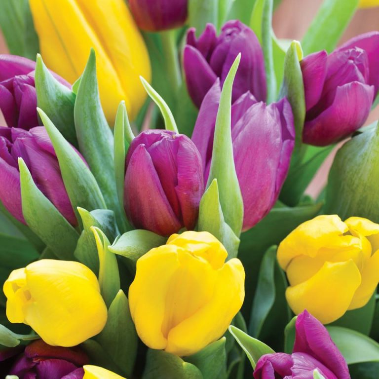 イースターも150 以上の店舗が営業！