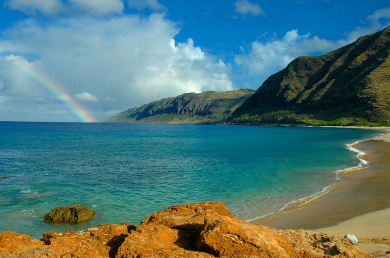 ハワイの聖地　マクアでイルカに出会おう！