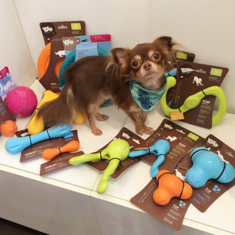 犬用おもちゃ：WestPaw　ー　Zogoflex