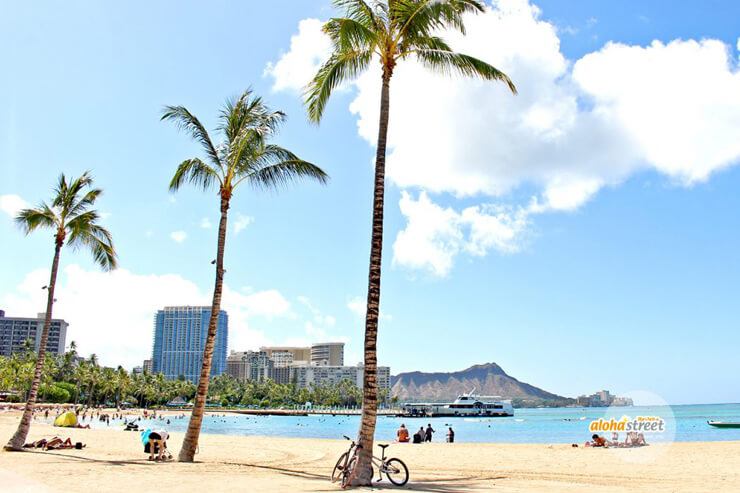 ハワイ 17年ハワイの壁紙 人気ベスト10 アロハストリート ハワイ