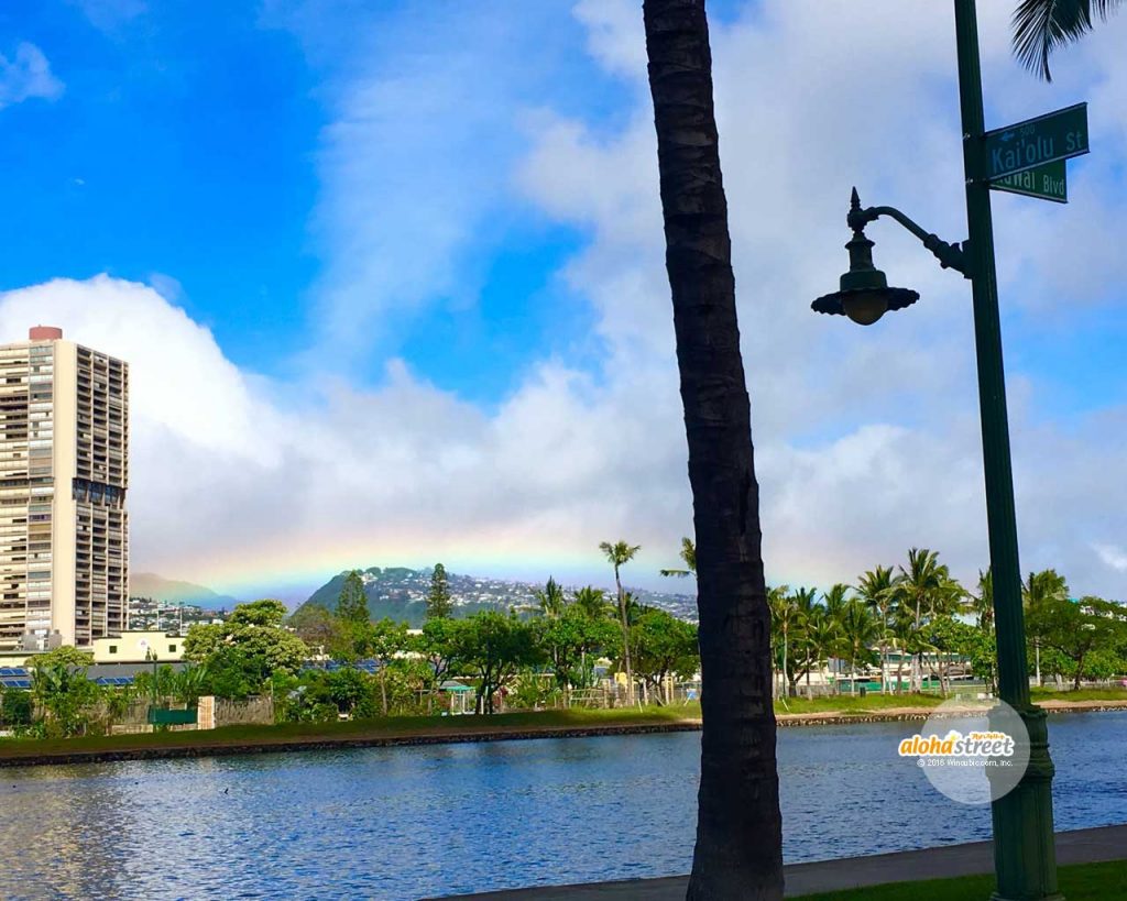 低くて大きい虹発見 アロハストリート ハワイ