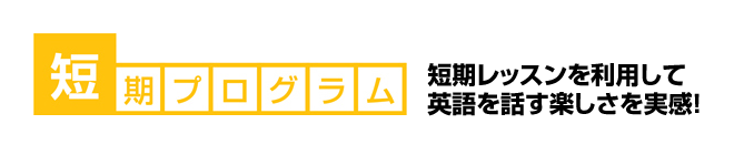 短期プログラム