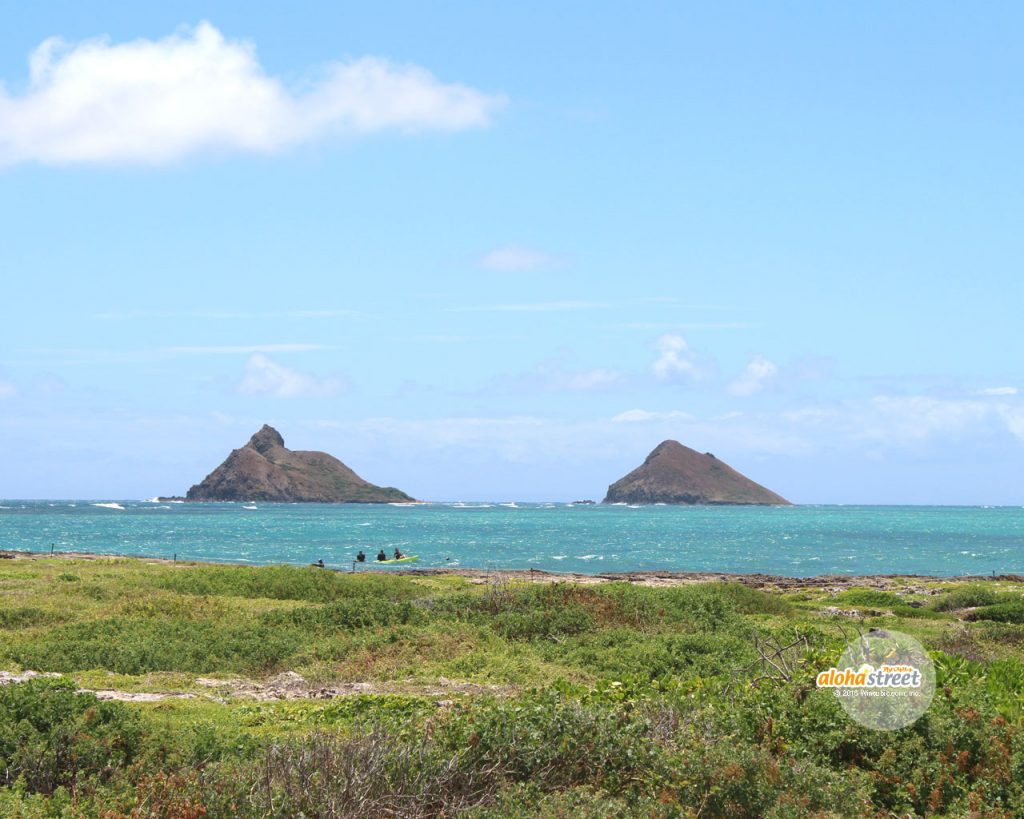 なかよしな双子島が 今日もかわいい アロハストリート ハワイ