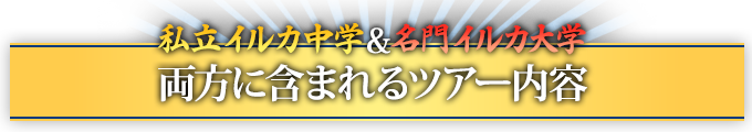 私立イルカ中学&名門イルカ大学 両方に含まれるツアー内容