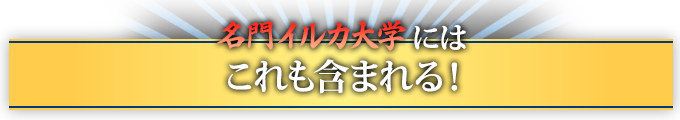名門イルカ大学にはこれも含まれる!