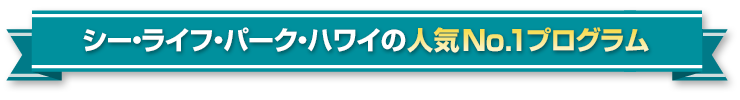 シー・ライフ・パーク・ハワイの人気No.1プログラム
