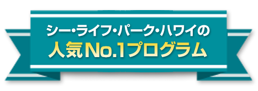 シー・ライフ・パーク・ハワイの人気No.1プログラム