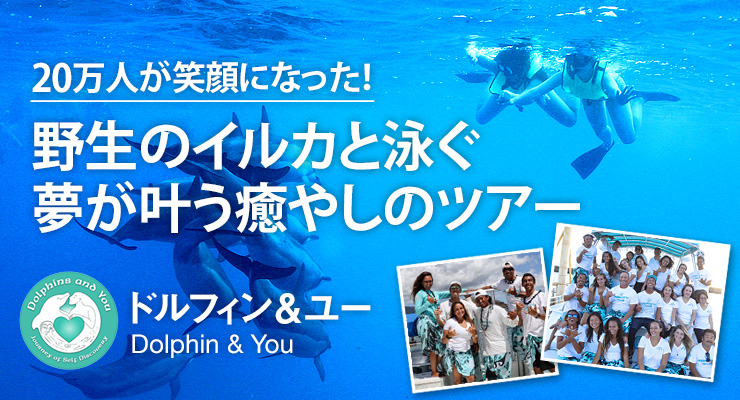 20万人が笑顔になった!野生のイルカと泳ぐ夢が叶う癒やしのツアー ドルフィン&ユー
