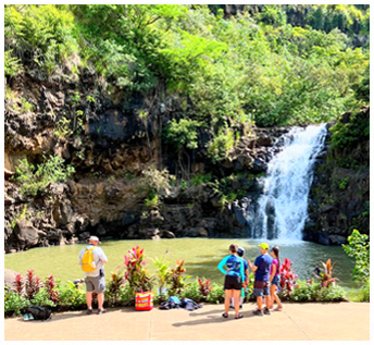 アンドユークリエーション／ドルフィン＆ユー
