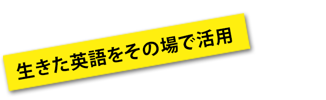 生きた英語をその場で活用