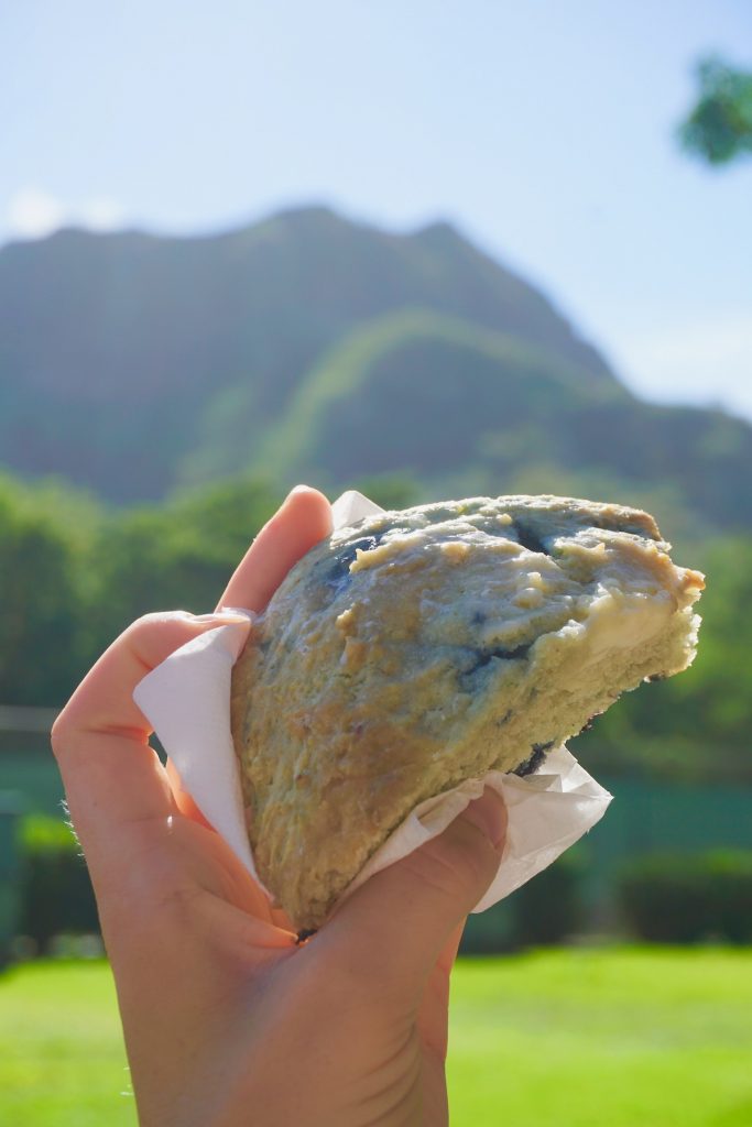 見どころいっぱい、お腹もいっぱい、大満足の島巡りツアー