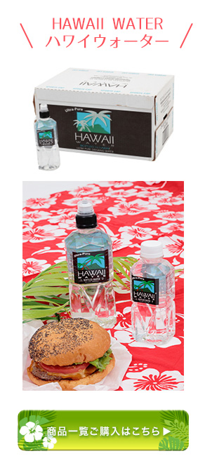 ❧ハワイアンアクセサリー№354❧ HAWAIIAN COLLECTION – cross Jewellia