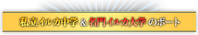 私立イルカ中学&名門イルカ大学のボート
