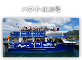 ハワイ・エコ号