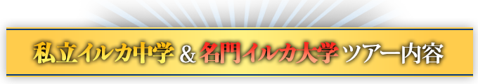 私立イルカ中学&名門イルカ大学 ツアー内容