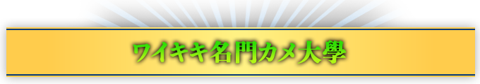 ワイキキ名門カメ大學