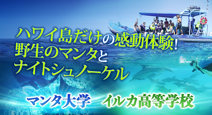 ハワイ島だけの感動体験！野生のマンタとナイトシュノーケル　マンタ大学／イルカ高等学校