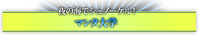 夜の海でシュノーケル！ マンタ大学