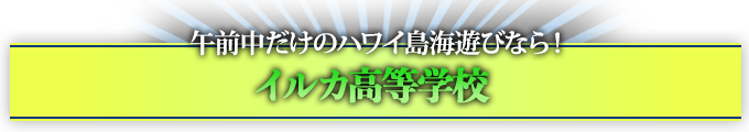 午前中だけのハワイ島海遊びなら！ イルカ高等学校