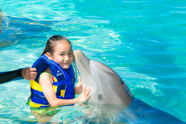 子供とハワイ アクティビティ 家族旅行に ハワイでおすすめ子ども向け体験まとめ アロハストリート ハワイ