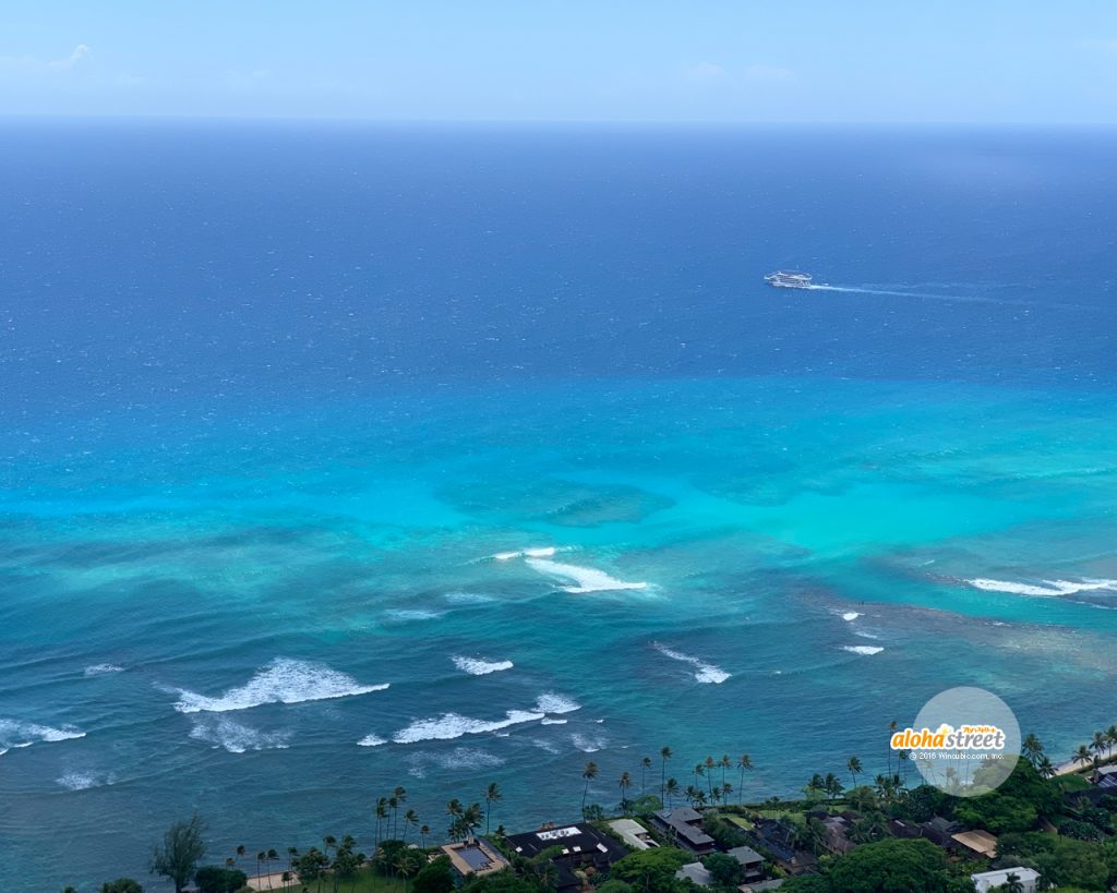 無料ダウンロード 海 画像 壁紙 ただ素晴らしい花