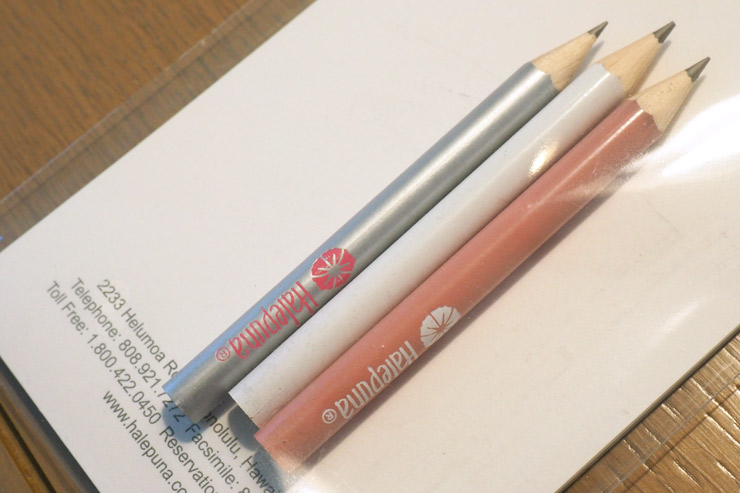 ペンの代わりに密封した清潔な鉛筆を用意