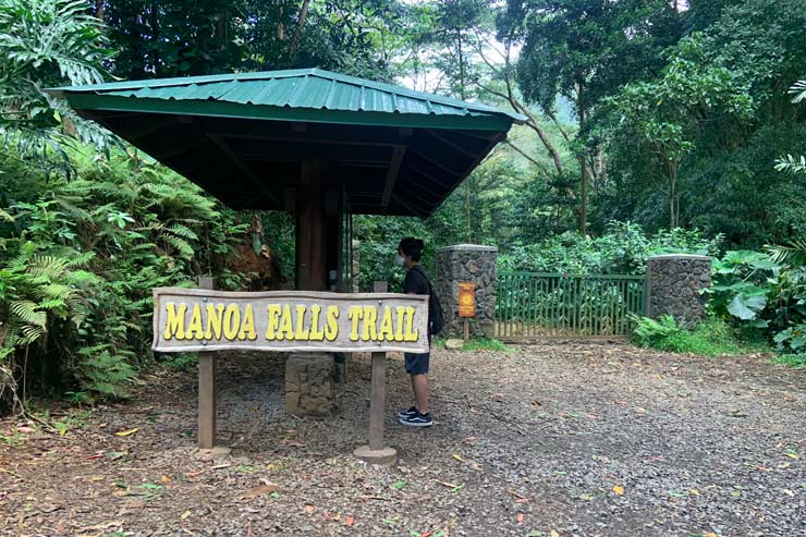 ハワイ マノアの滝