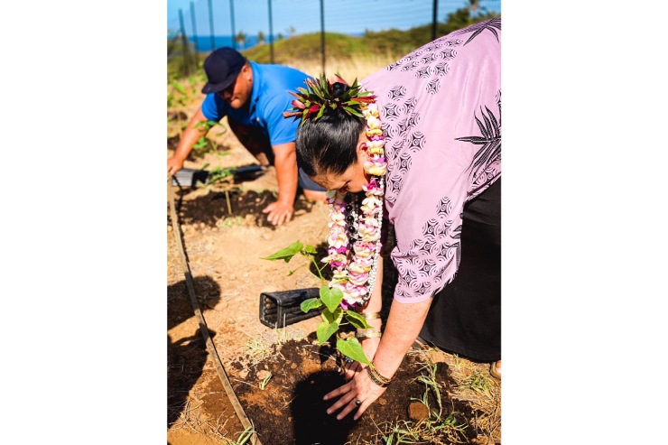 植樹実施！ハワイ島の人気リゾートの環境保全活動