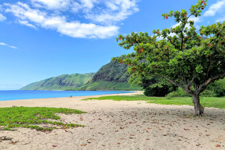 メレを旅するハワイ〜IZが眠る海マクア