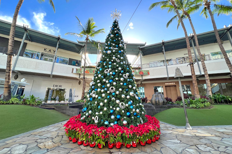 2022年ハワイのクリスマスツリーまとめ