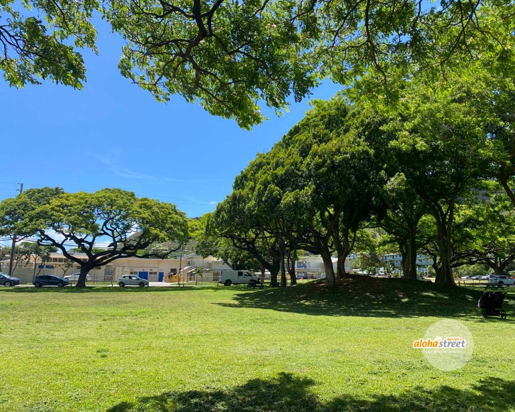 緑豊かなハワイの公園でのんびりお散歩