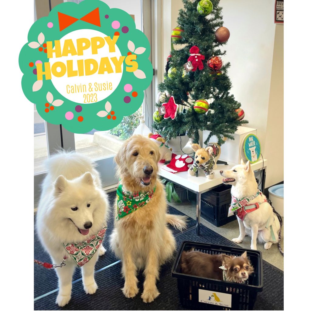 カルビン＆スージー☆スタッフ犬よりHappyHolidays