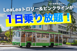 ハワイのレアレアバケーション・レンタルズ 日本語で予約OK！(ハワイで