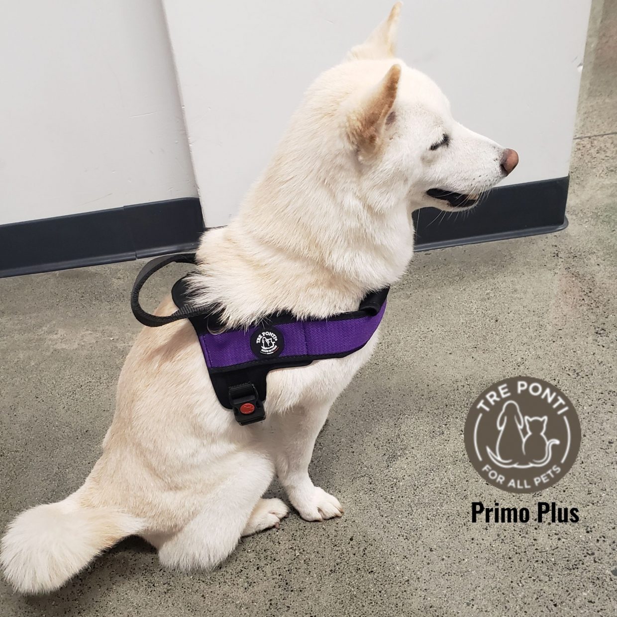 【カルビン＆スージー】人気ハーネス大型犬用PrimoPlus