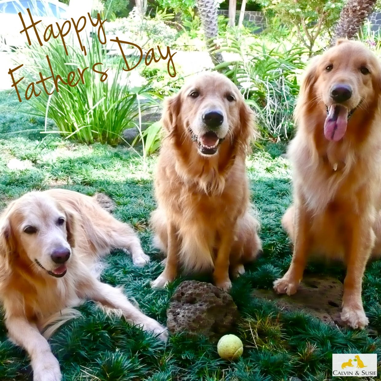 【カルビン＆スージー】Happy Father's Day♡