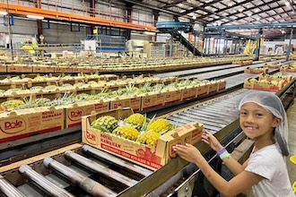 🍍パイナップル農園ツアーでノースショアを満喫🌈
