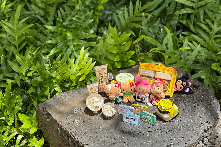 今週ハワイで起きたこと7月2週め【チャット】