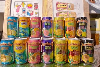 ハワイ好き必見！🌴 日本にいながらハワイ気分🌺