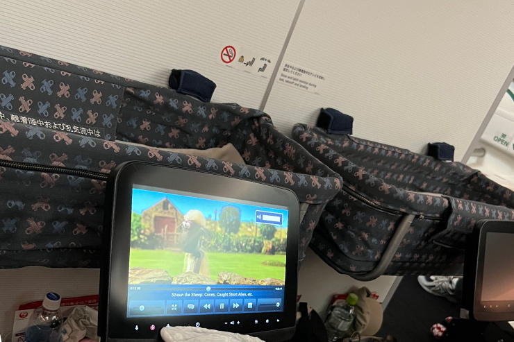ハワイ旅行 飛行機 バシネット